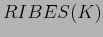$\displaystyle RIBES(K)$