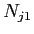$N_{j1}$