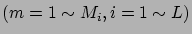 $(m=1\sim M_i,i=1\sim L)$