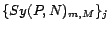 $\{Sy(P,N)_{m,M}\}_j$